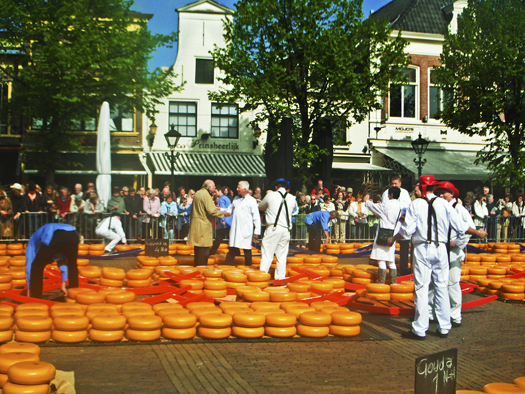 Cheese market in Alkmaaar, Holland