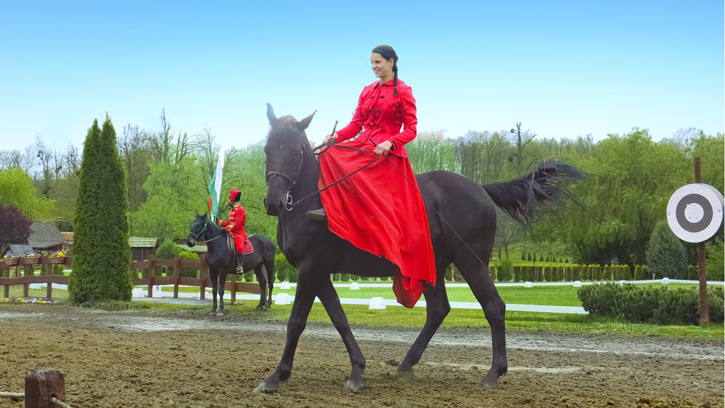 Dressage at Hungary horse park